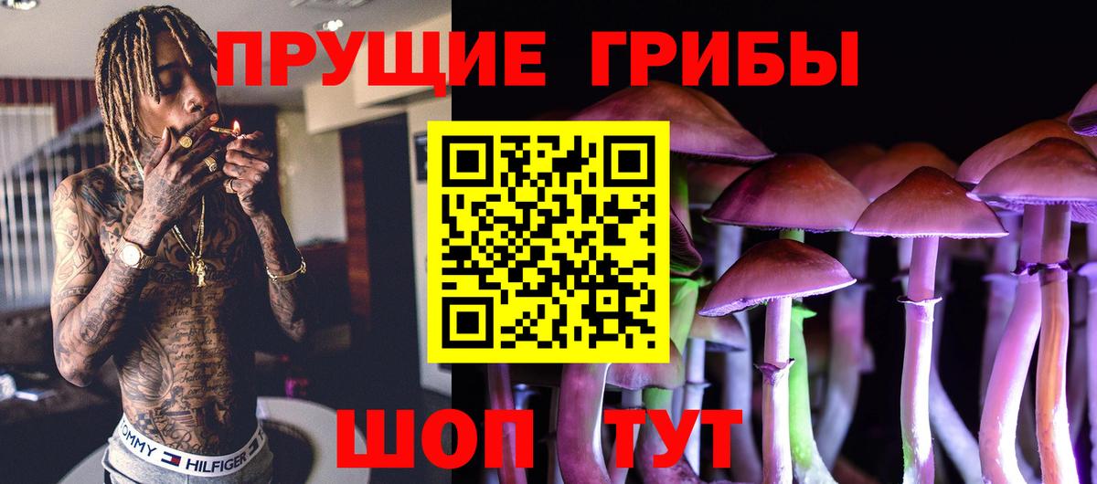 Галлюциногенные грибы MAGIC MUSHROOMS Пушкино