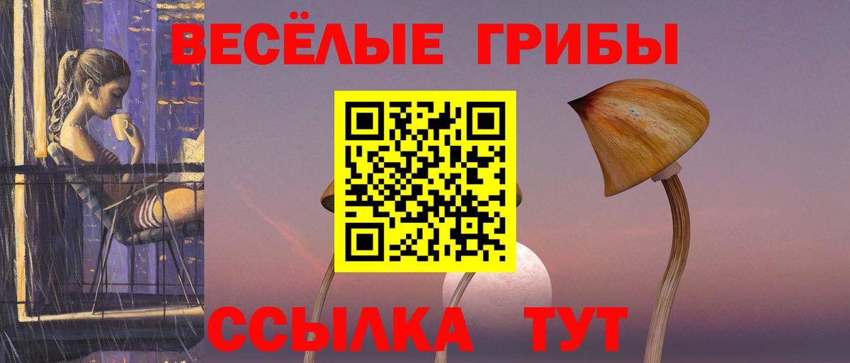 дарнет шоп  Галлюциногенные грибы ЛСД  Вход с VPN  Галлюциногенные грибы Magic Shrooms  Пушкино 